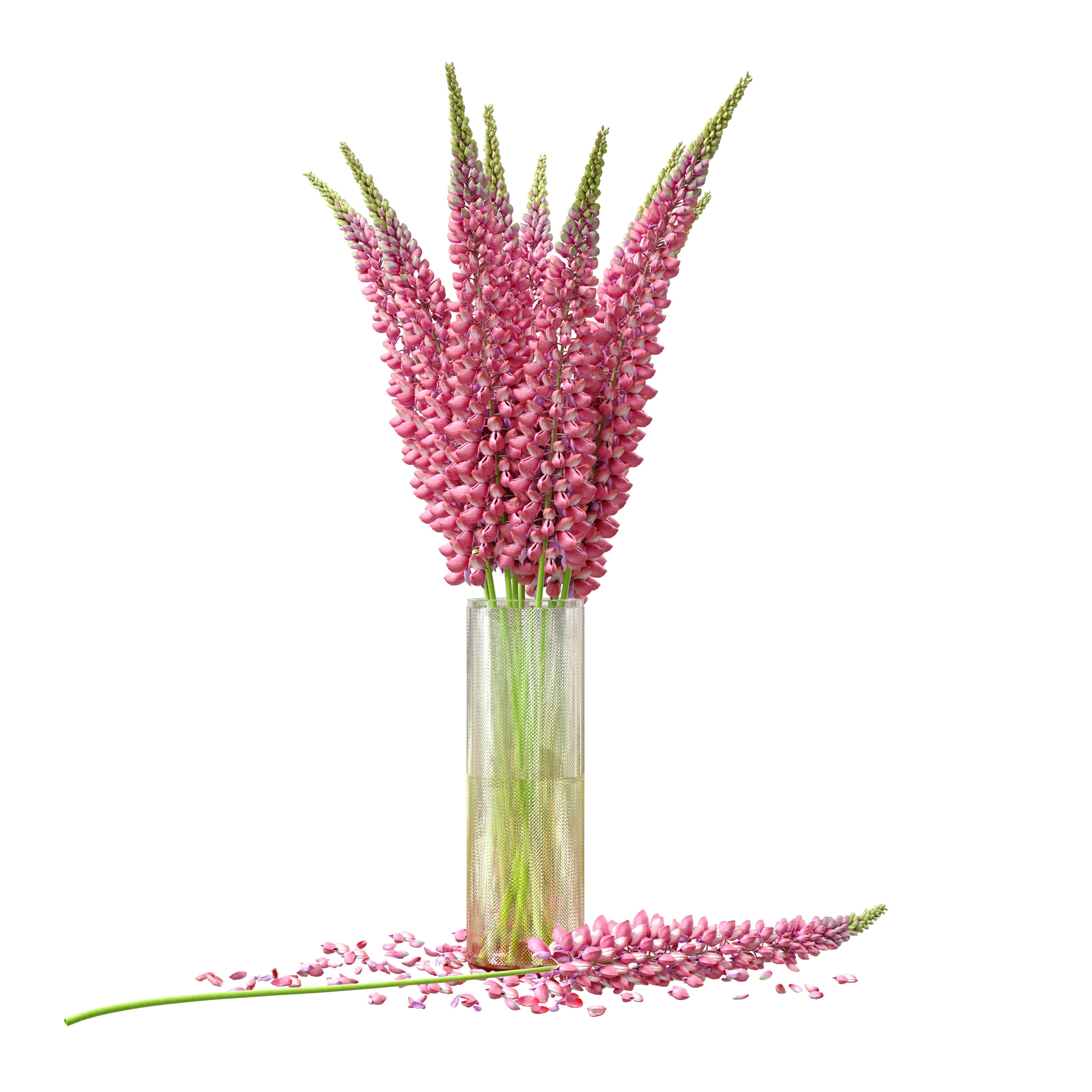 Bouquet of pink lupine flowers Lupinus 3D model_6