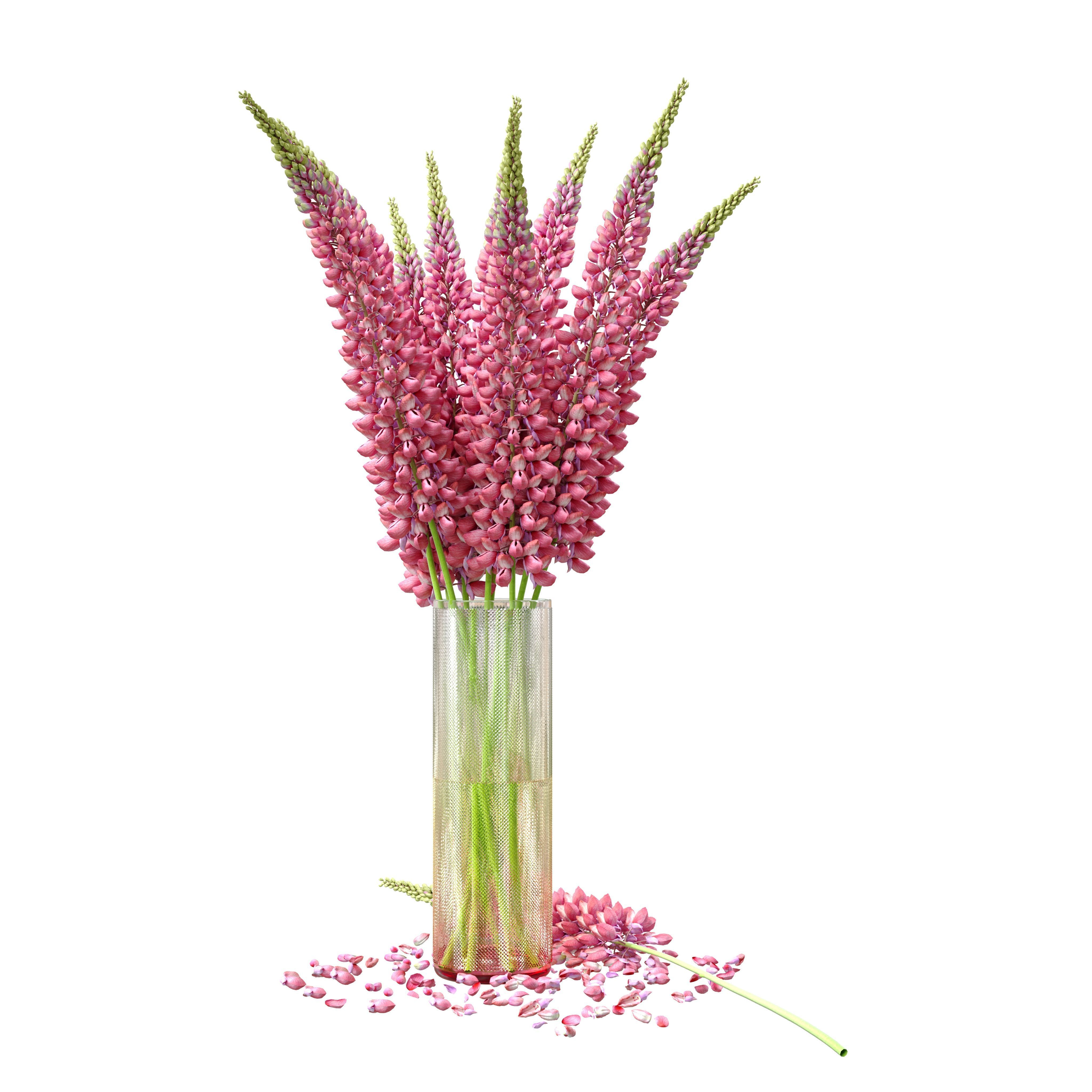 Bouquet of pink lupine flowers Lupinus 3D model_11