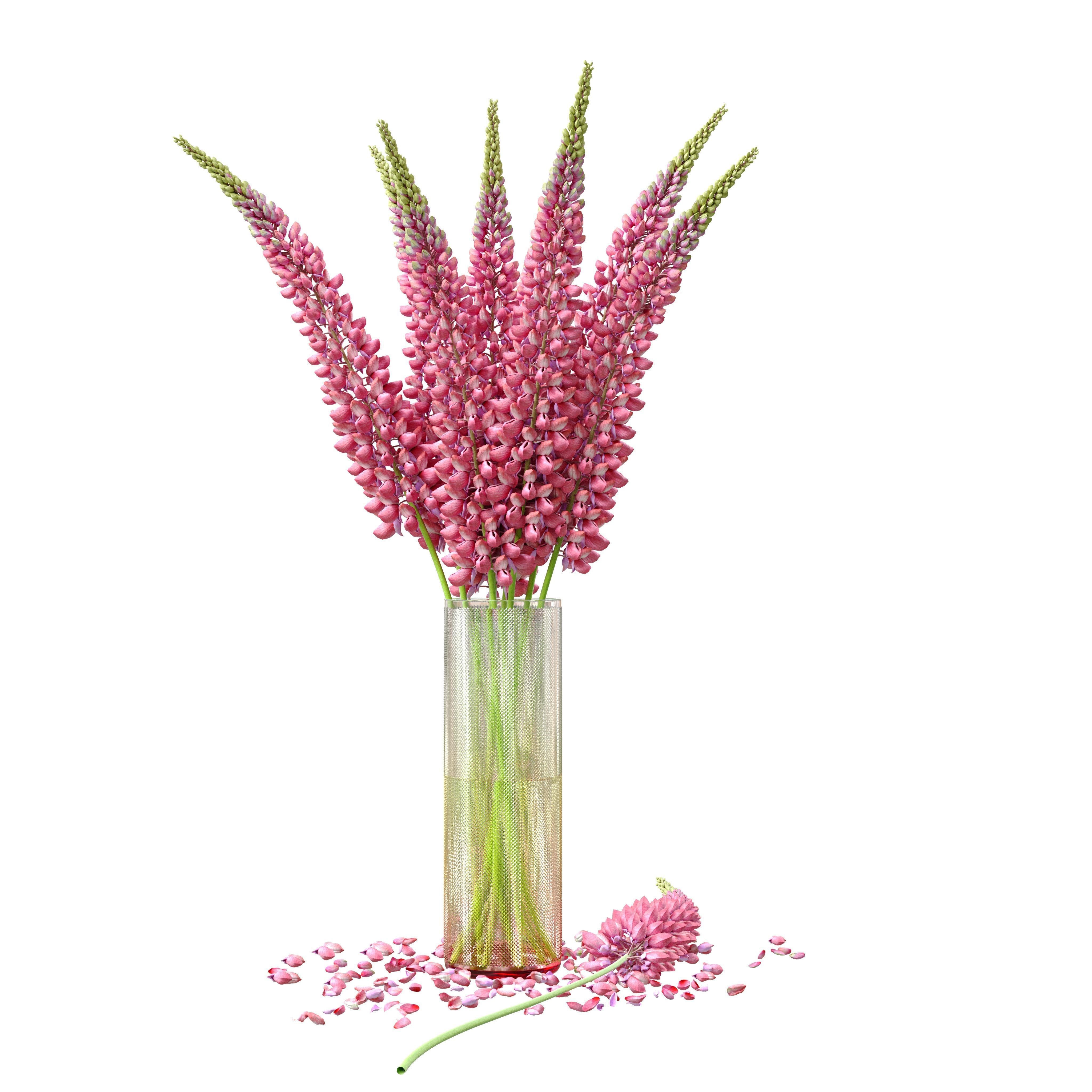 Bouquet of pink lupine flowers Lupinus 3D model_5