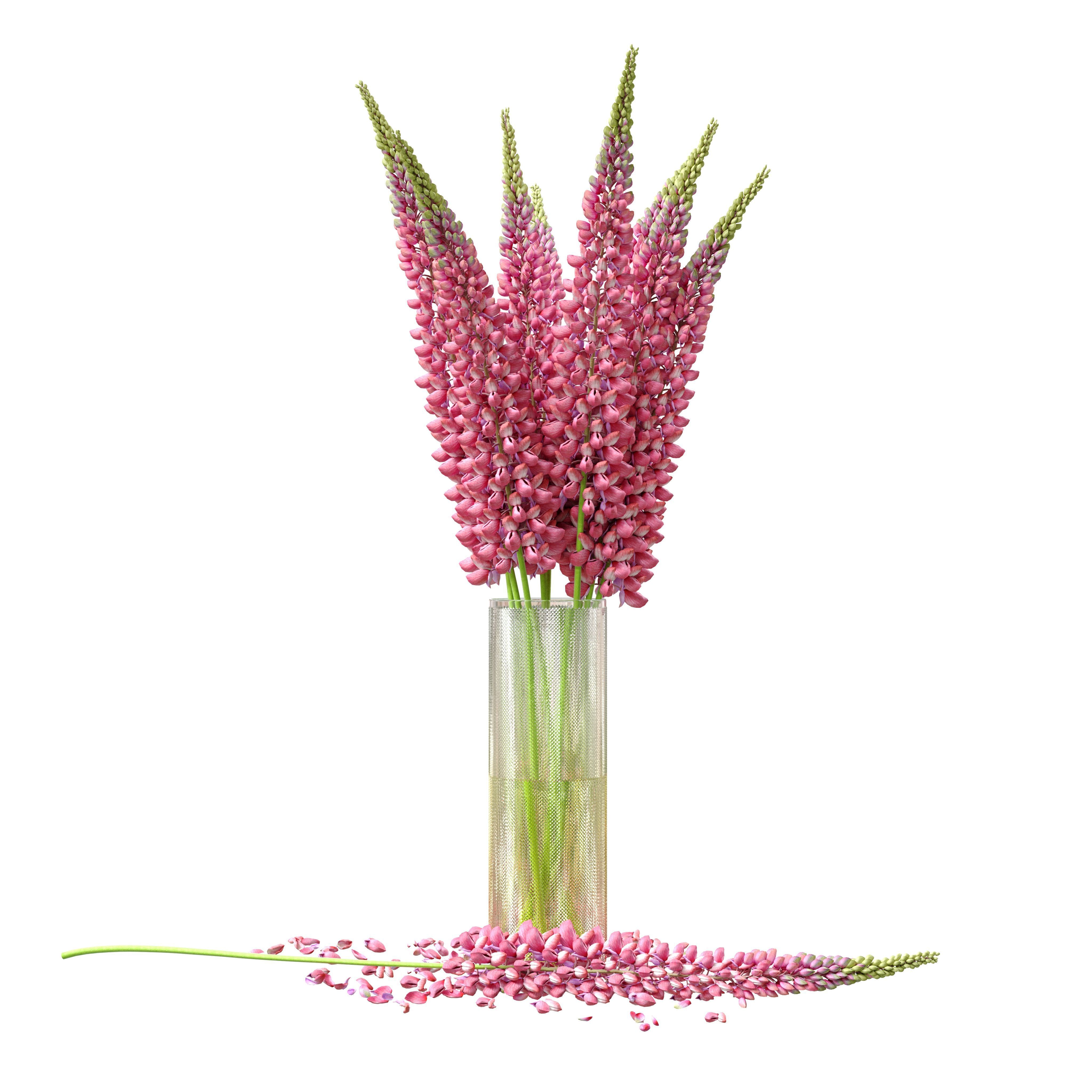 Bouquet of pink lupine flowers Lupinus 3D model_7