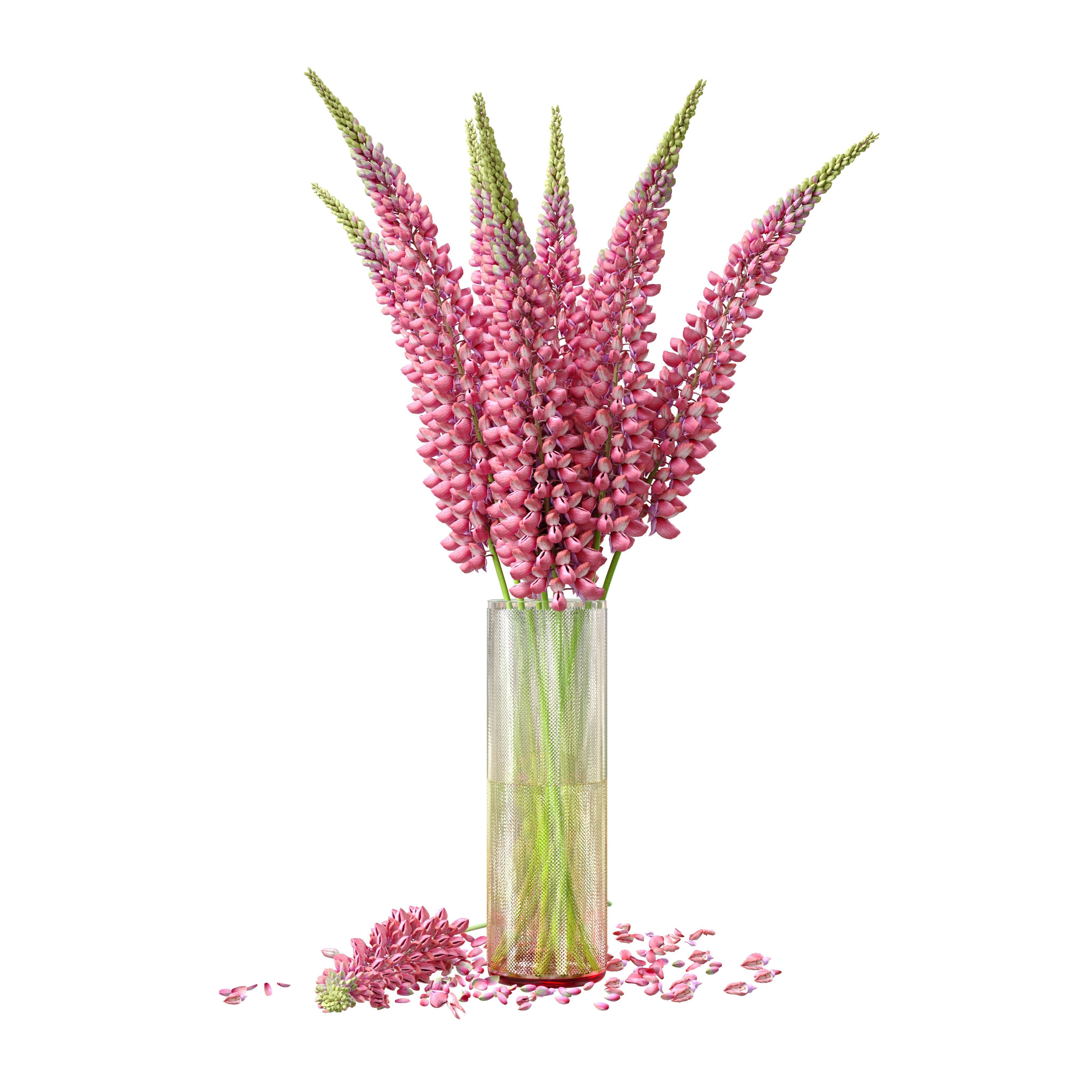 Bouquet of pink lupine flowers Lupinus 3D model_9