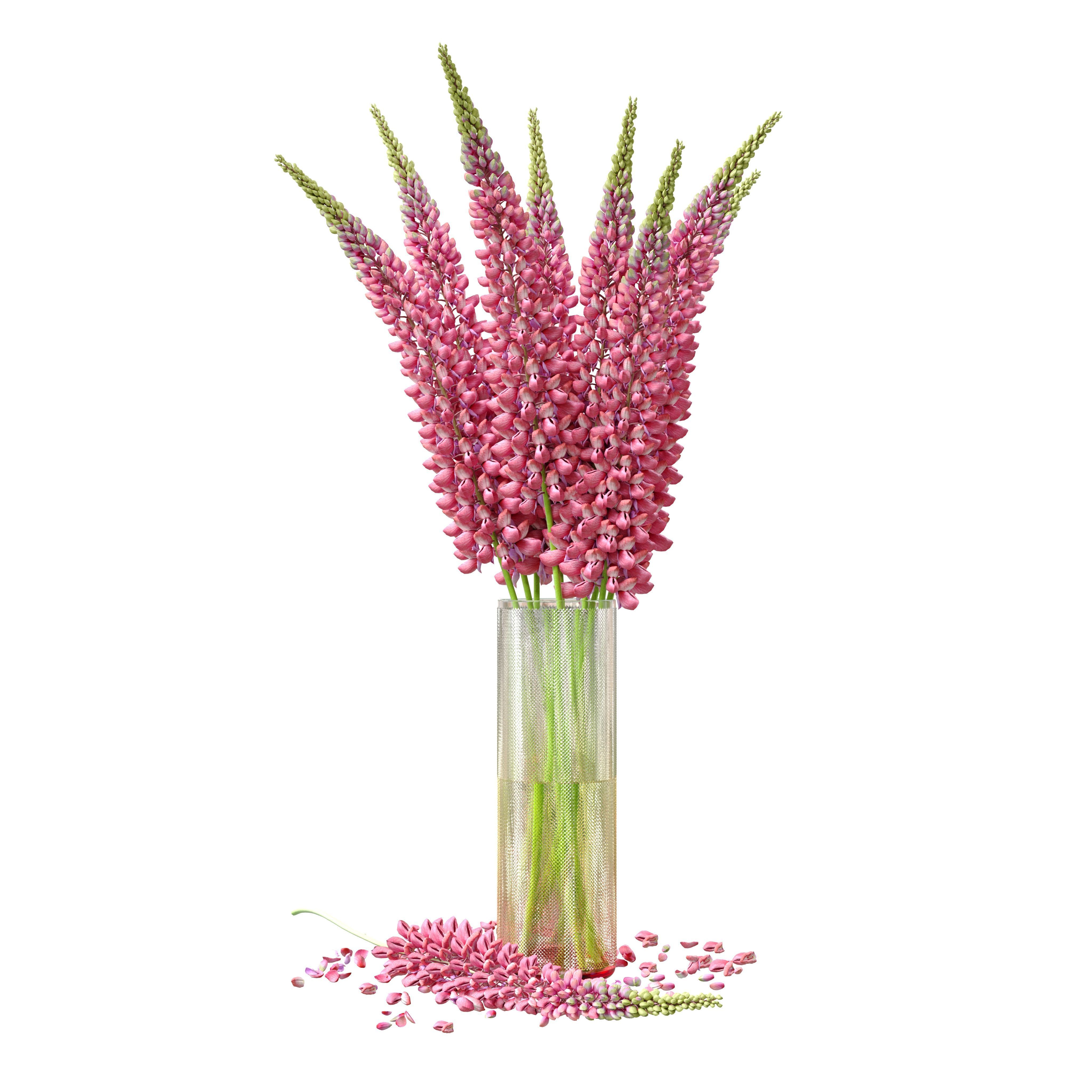 Bouquet of pink lupine flowers Lupinus 3D model_8