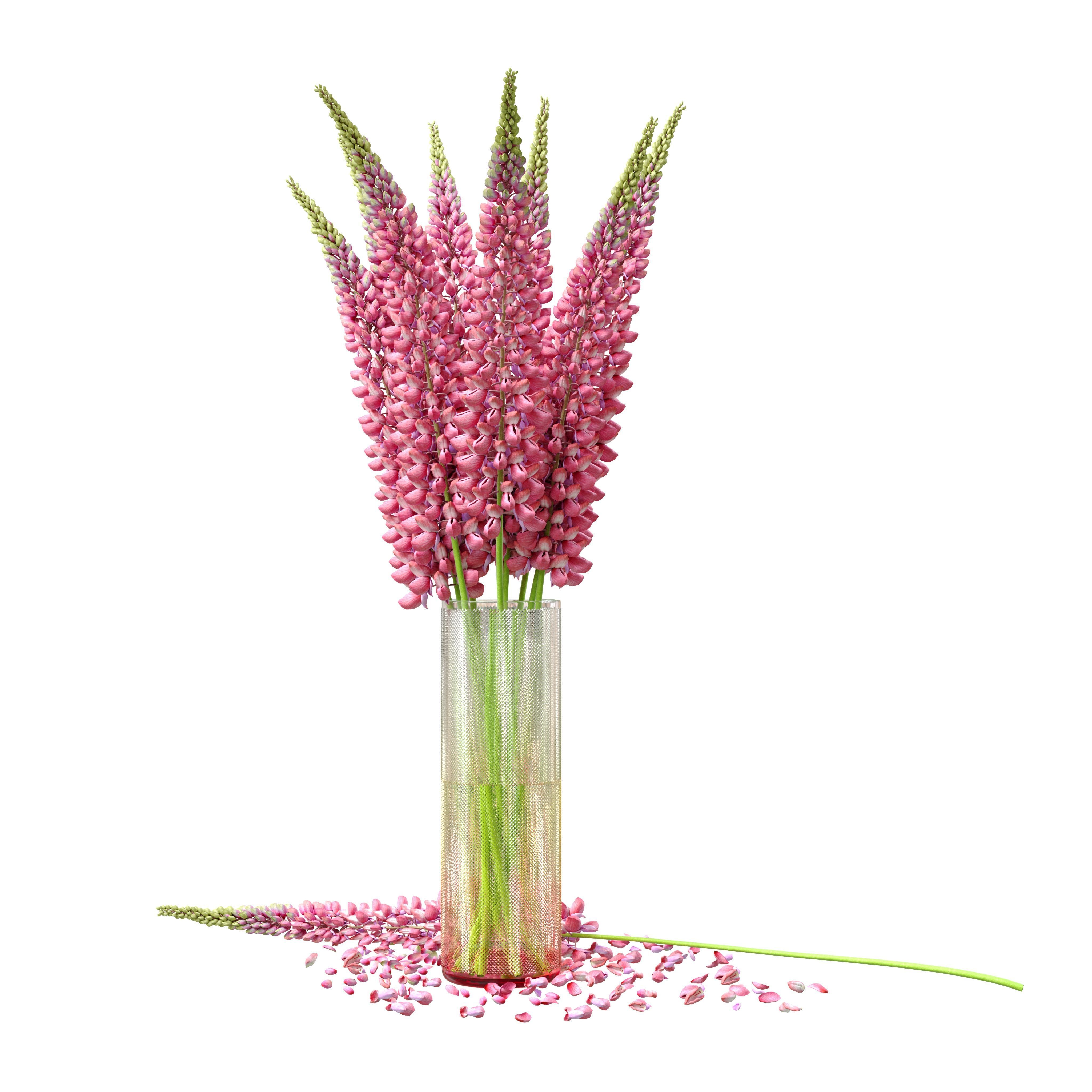 Bouquet of pink lupine flowers Lupinus 3D model_10