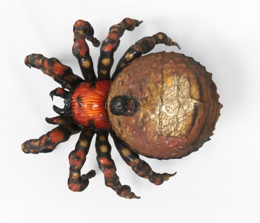 Spider Creature  3D model_1