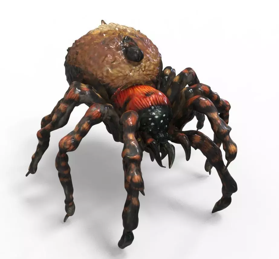 Spider Creature  3D model_0