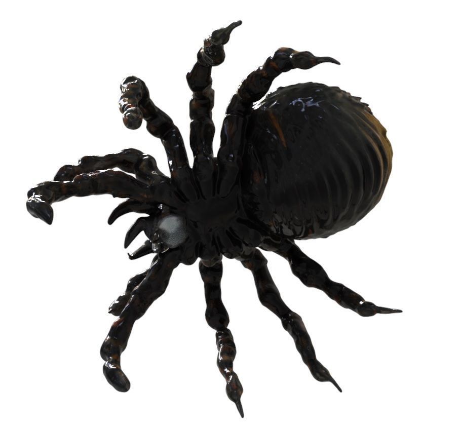 Spider Creature  3D model_2