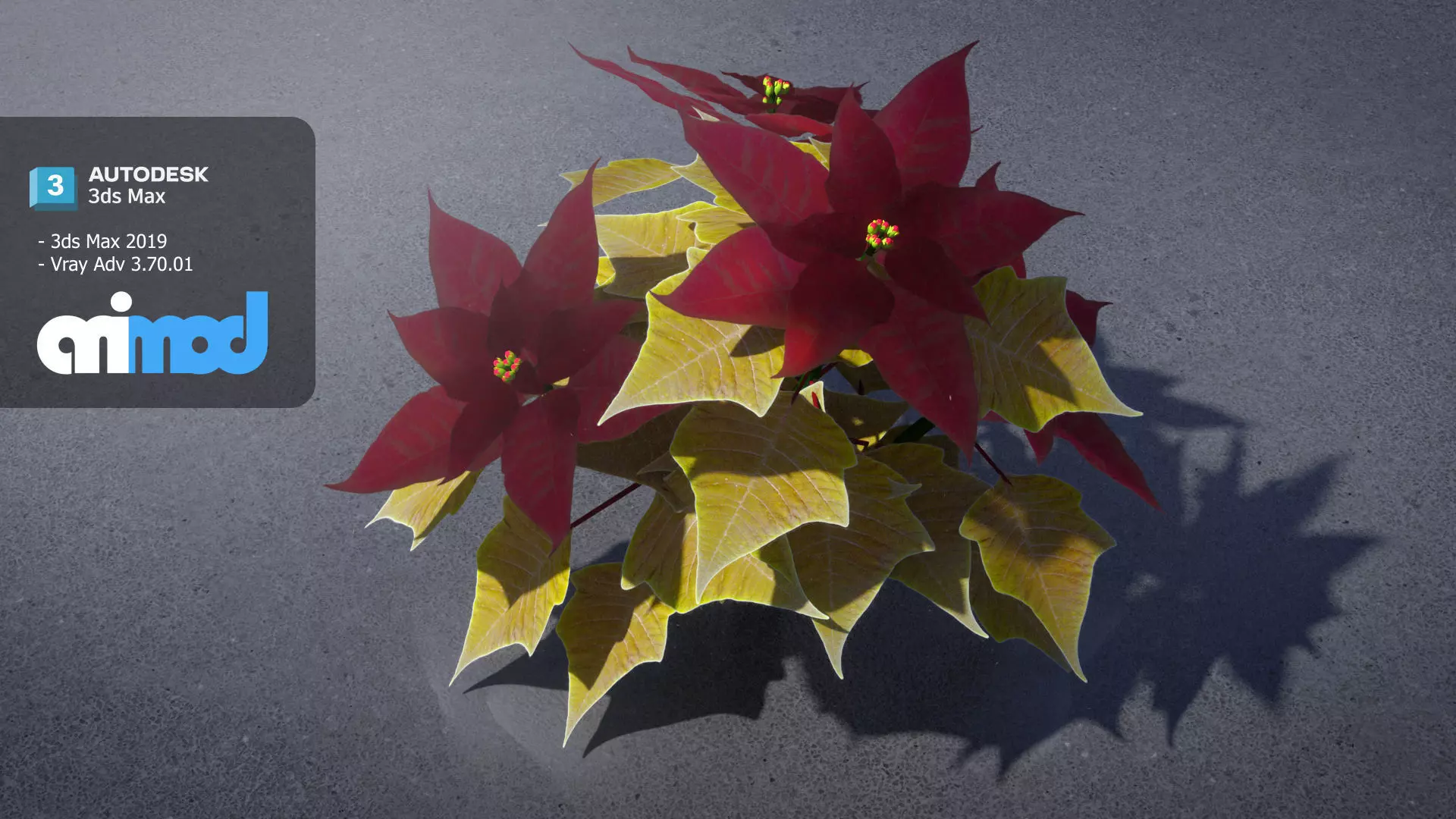 Poinsettia 001 3D model_0