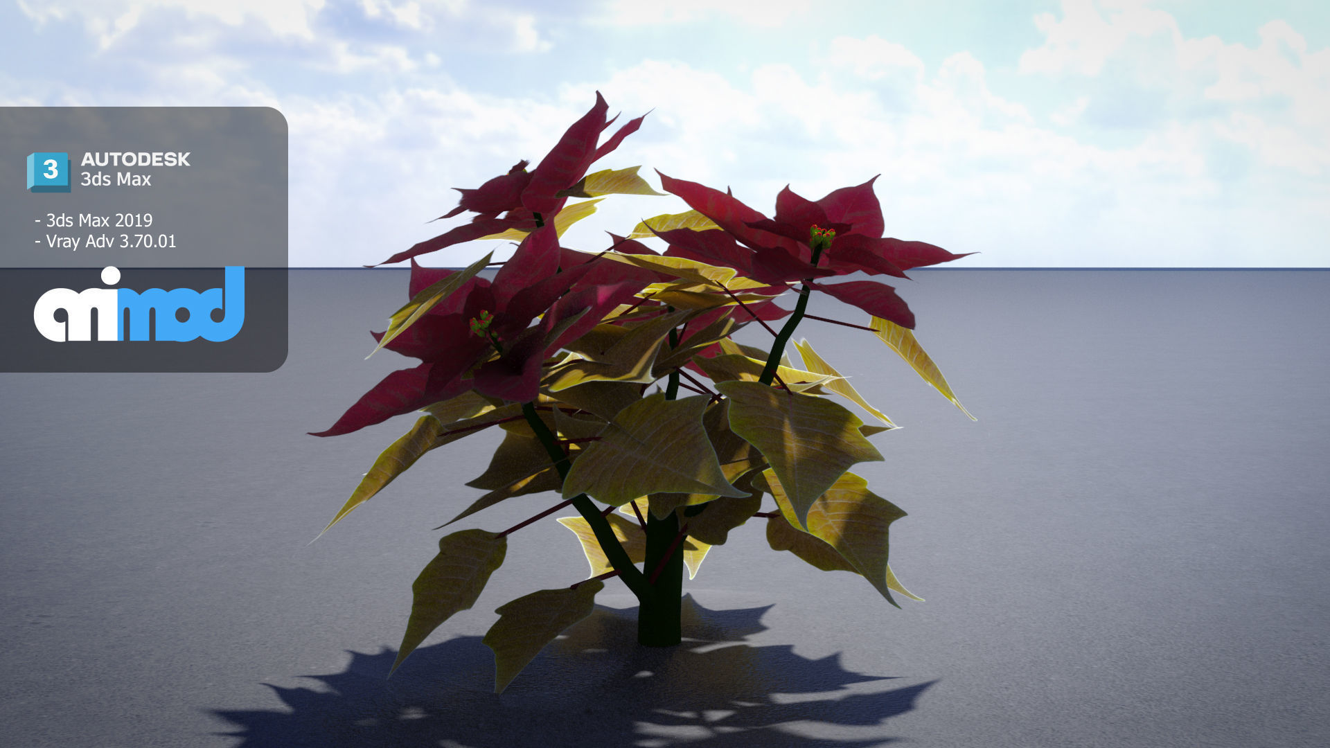 Poinsettia 001 3D model_2