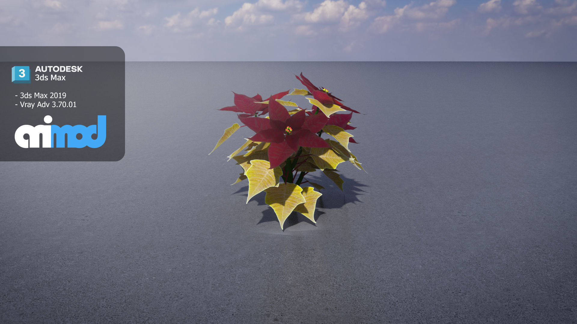 Poinsettia 001 3D model_1