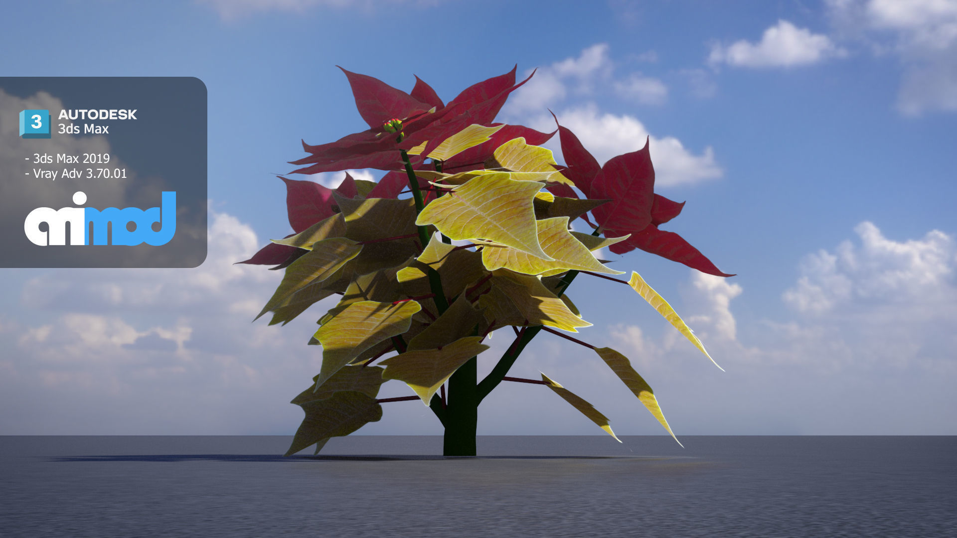 Poinsettia 001 3D model_3