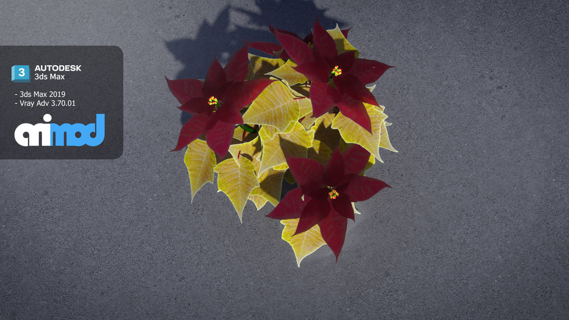 Poinsettia 001 3D model_4