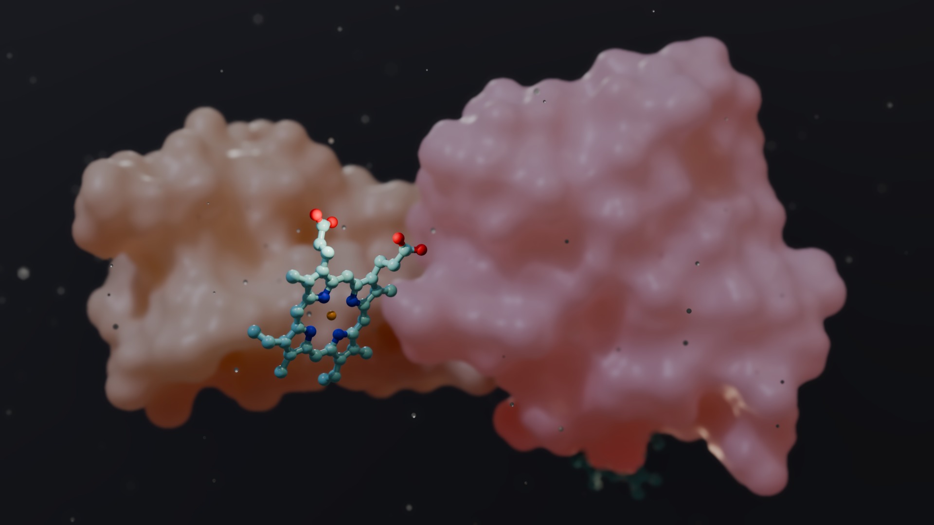 Alpha Hemoglobin Low-poly 3D model_3