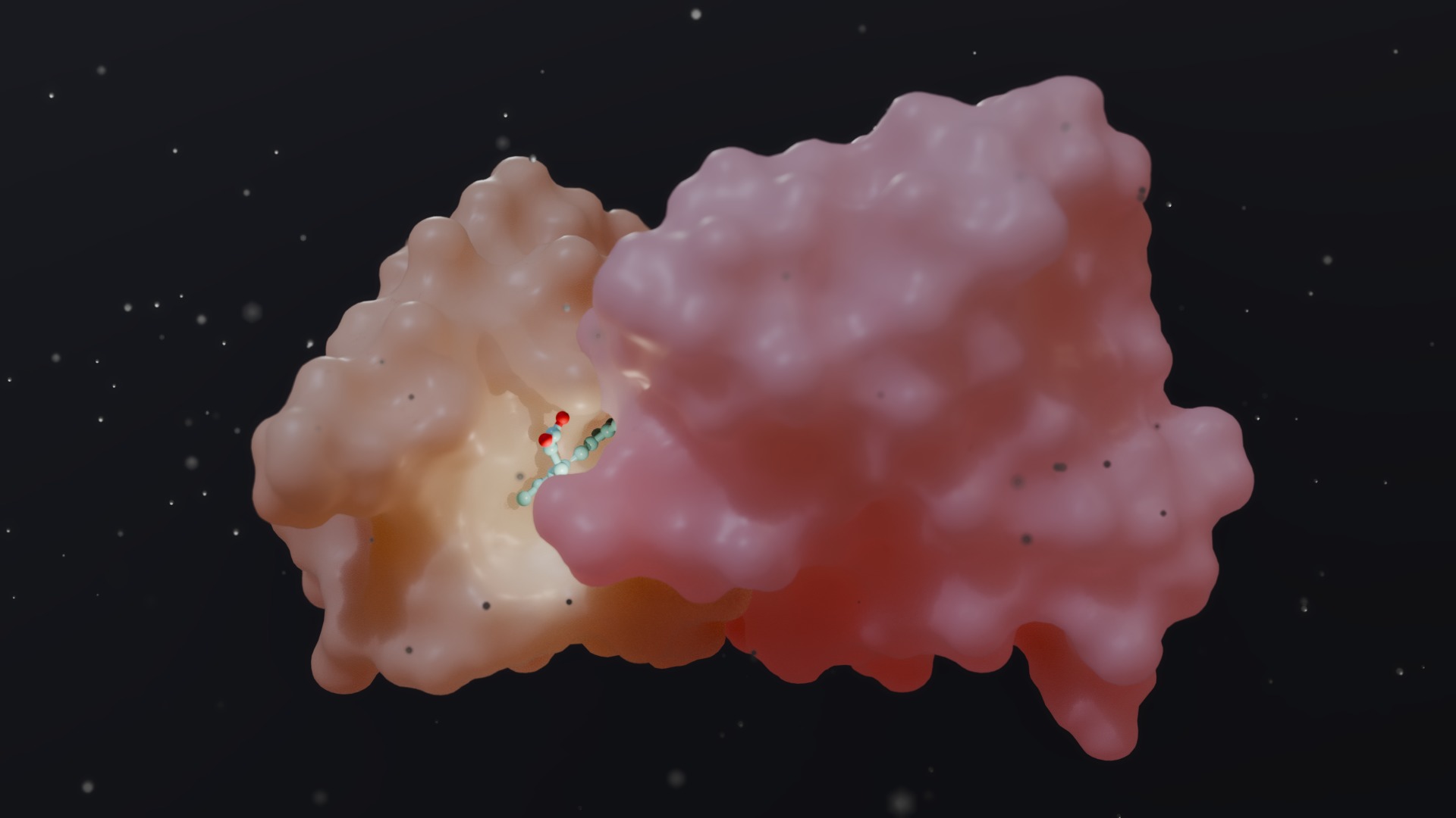 Alpha Hemoglobin Low-poly 3D model_5