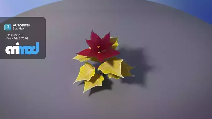 Poinsettia 002 3D model