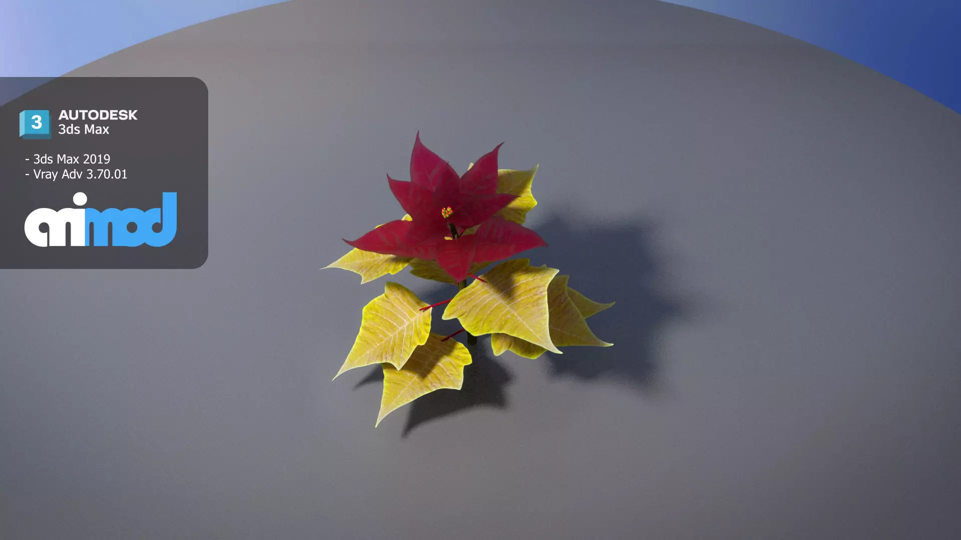 Poinsettia 002 3D model_0