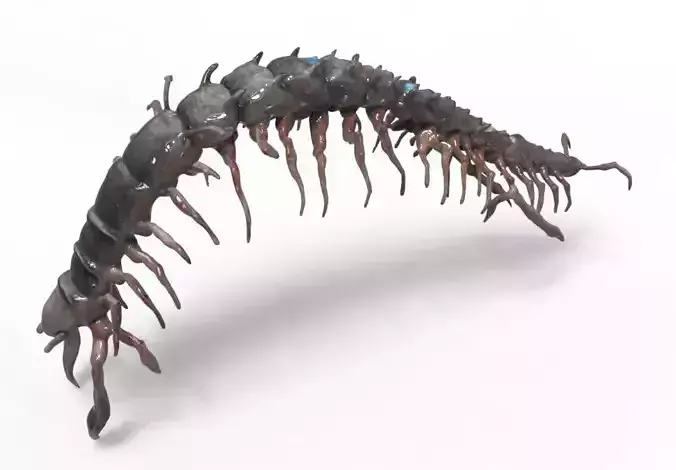 Centipede Creature