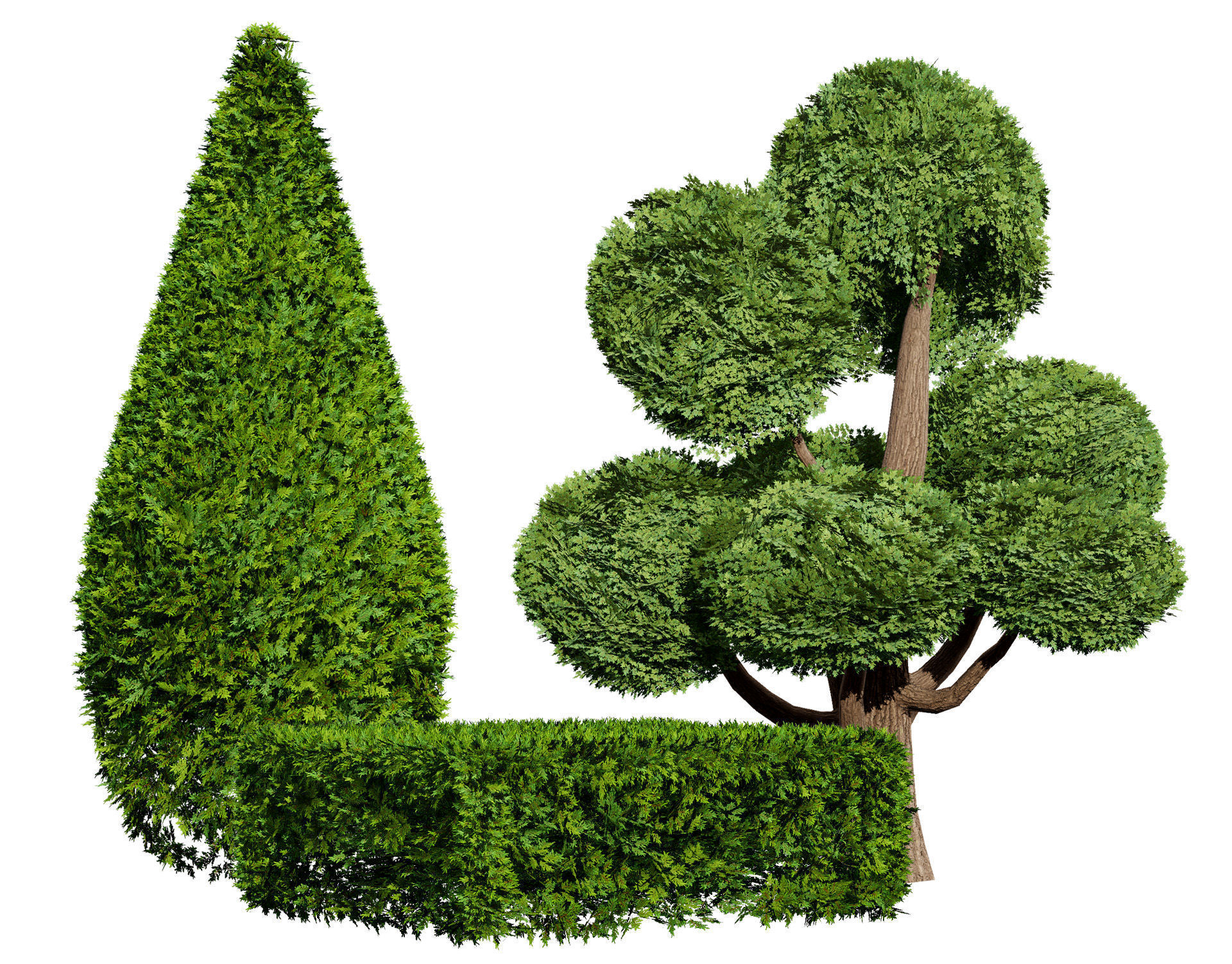 Juniper Bush 3D Model Low-poly 3D model_3