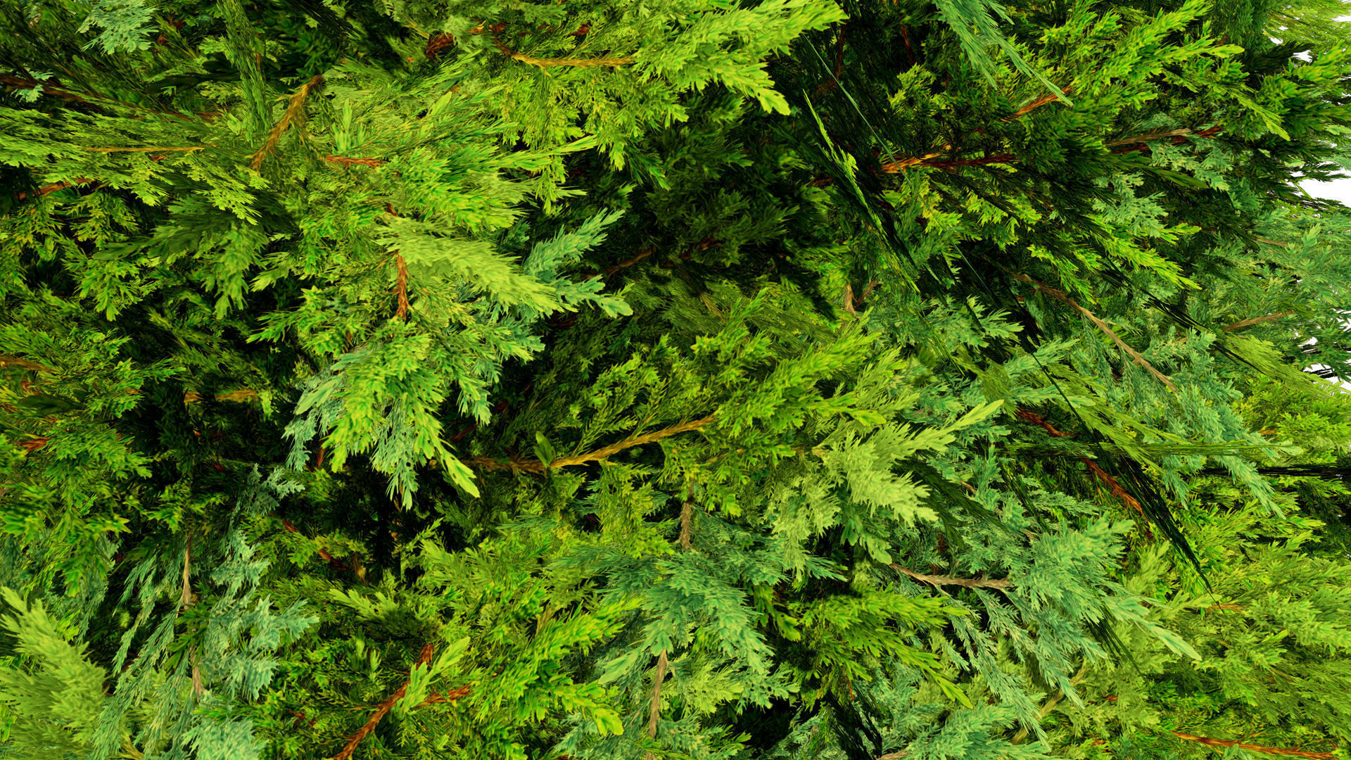 Juniper Bush 3D Model Low-poly 3D model_10