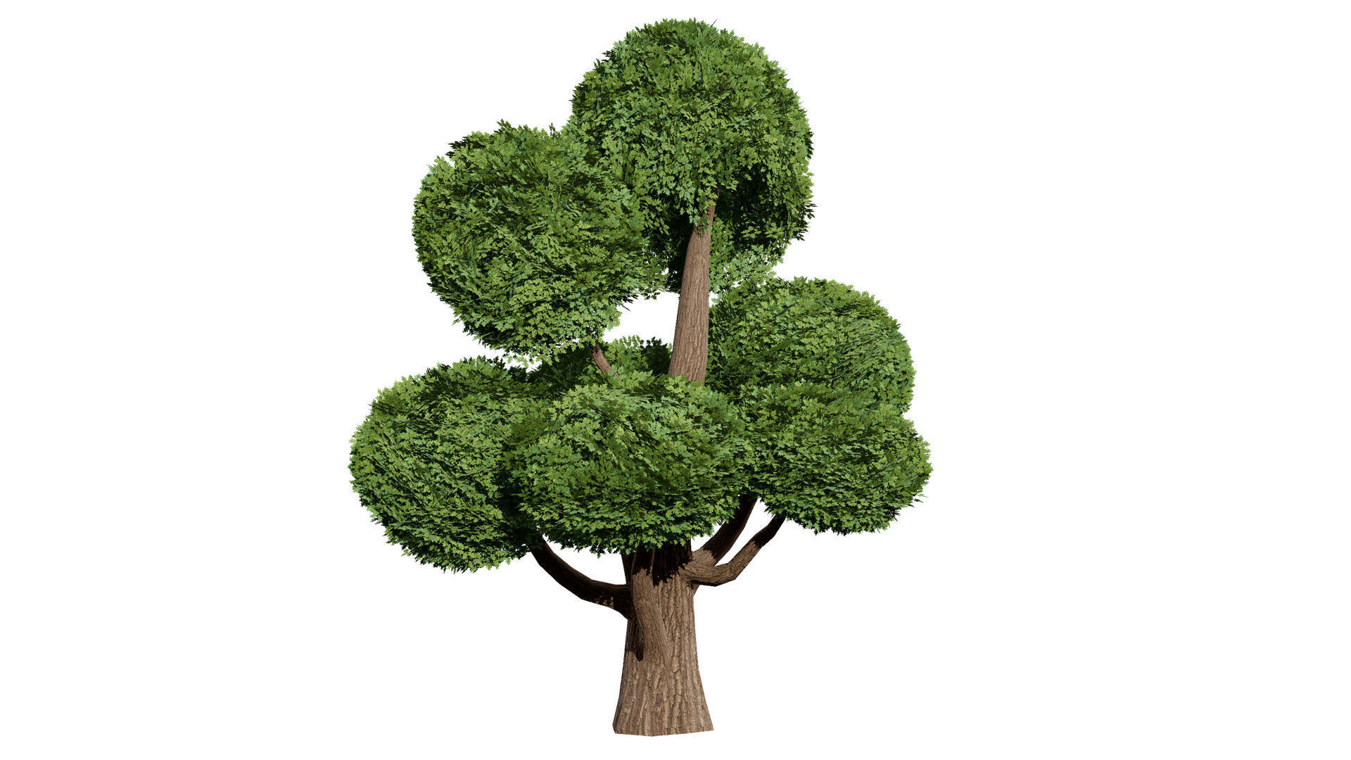Juniper Bush 3D Model Low-poly 3D model_9