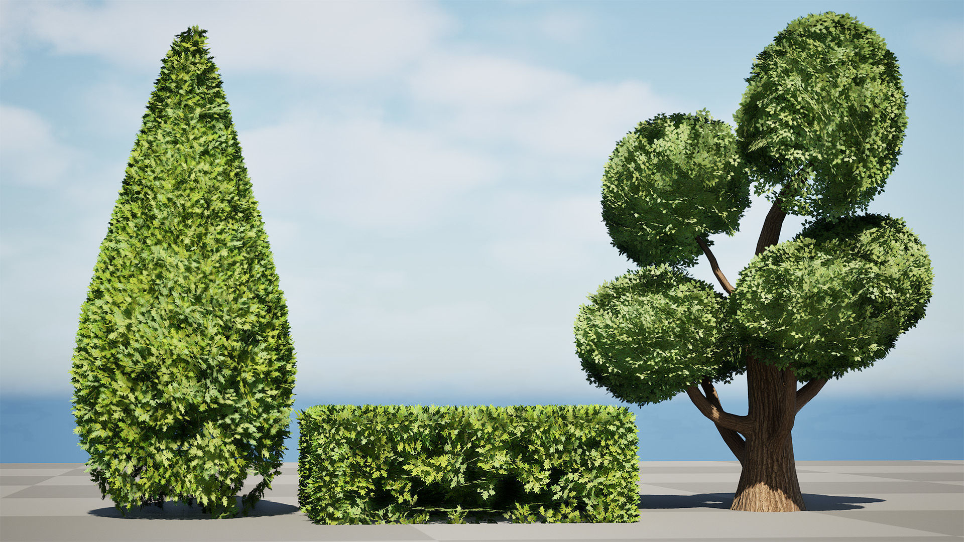 Juniper Bush 3D Model Low-poly 3D model_18