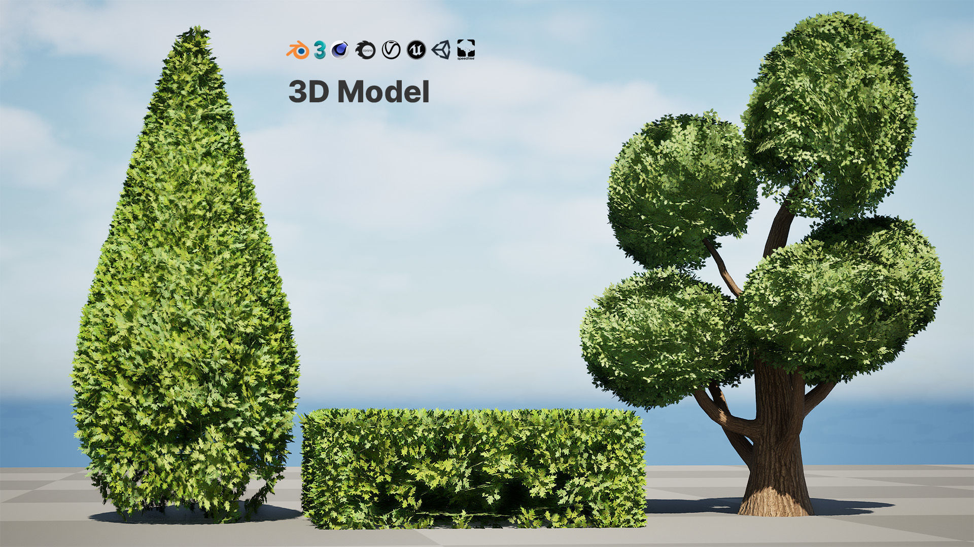 Juniper Bush 3D Model Low-poly 3D model_2