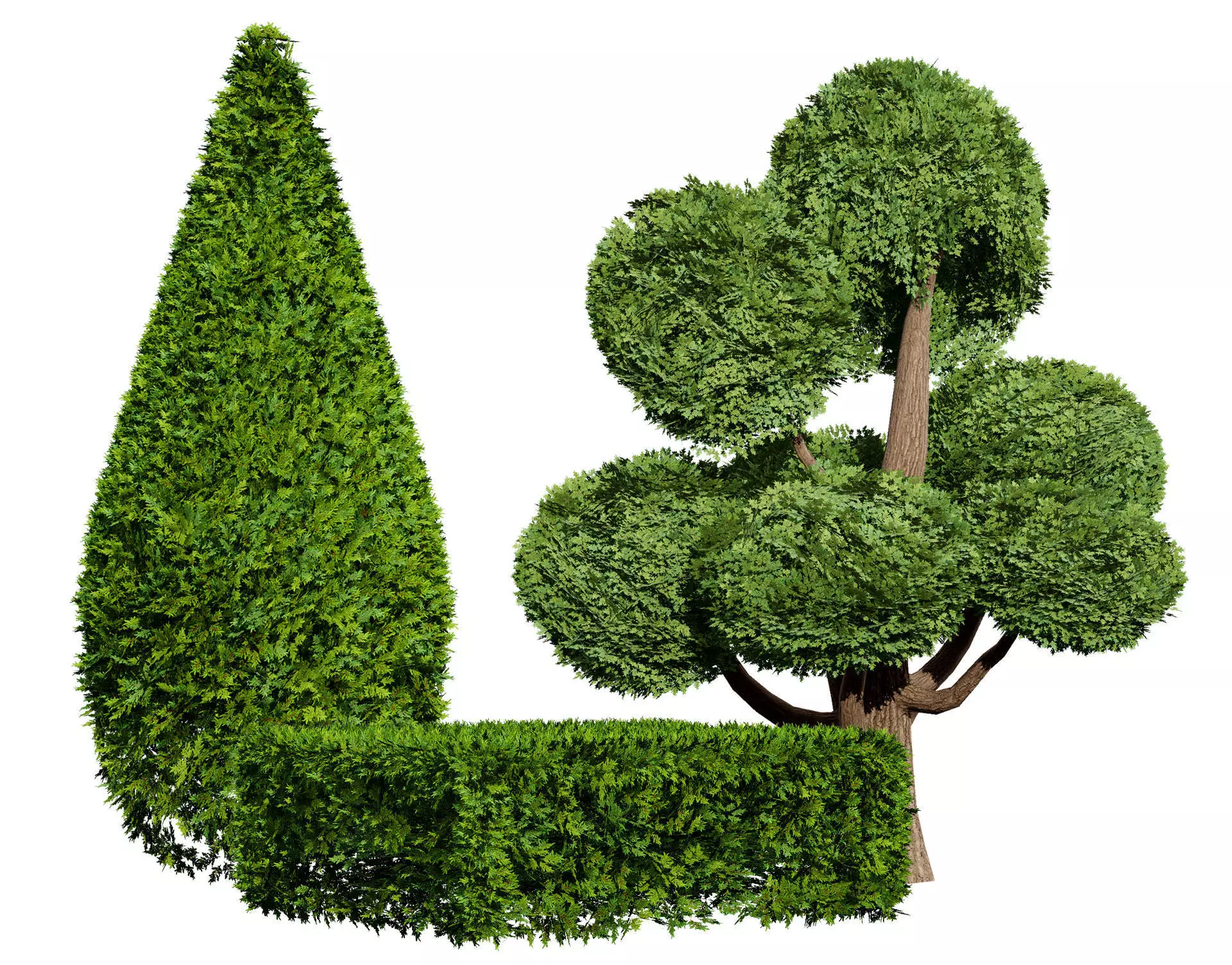 Juniper Bush 3D Model Low-poly 3D model_0