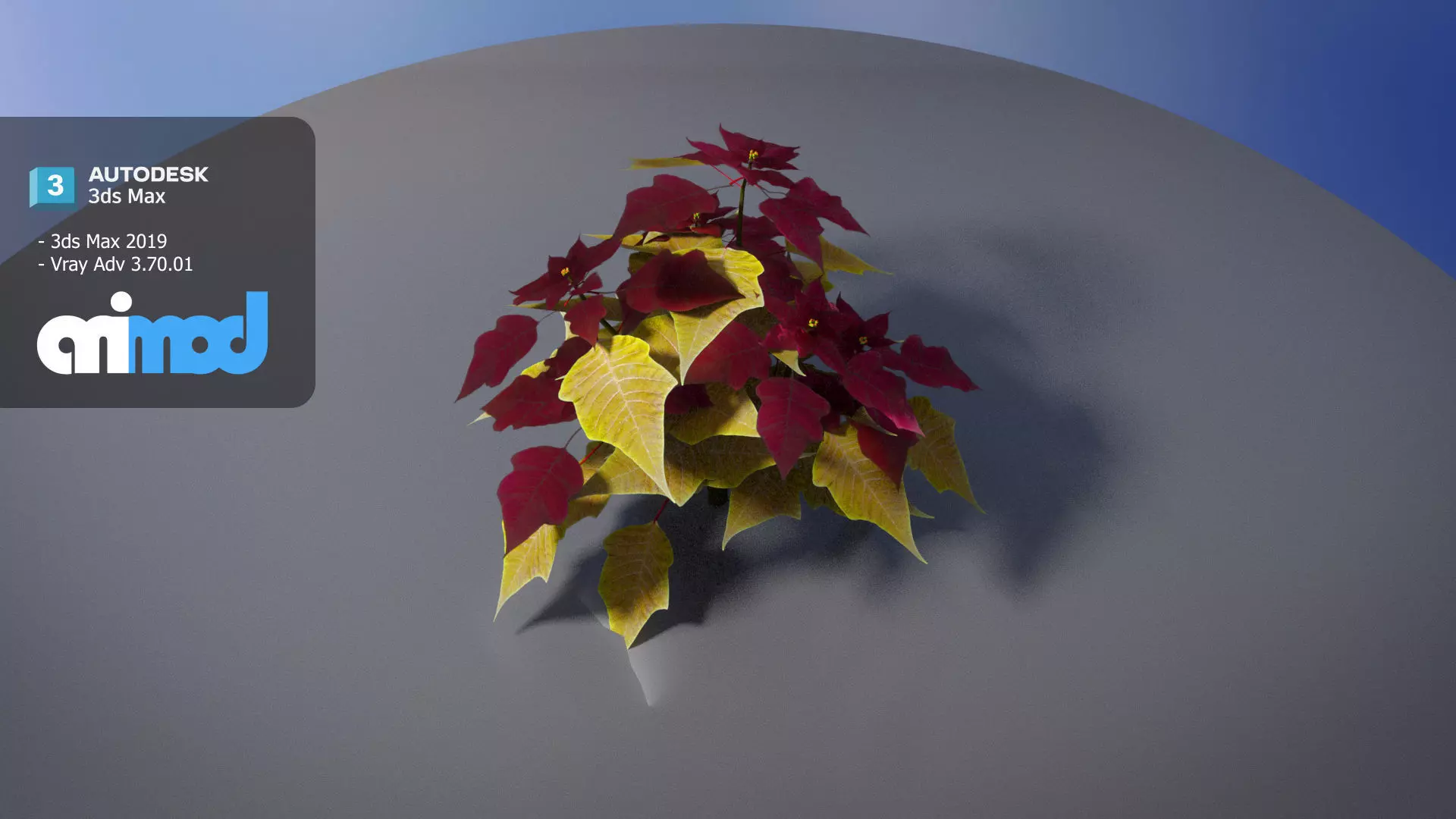 Poinsettia 003 3D model_0