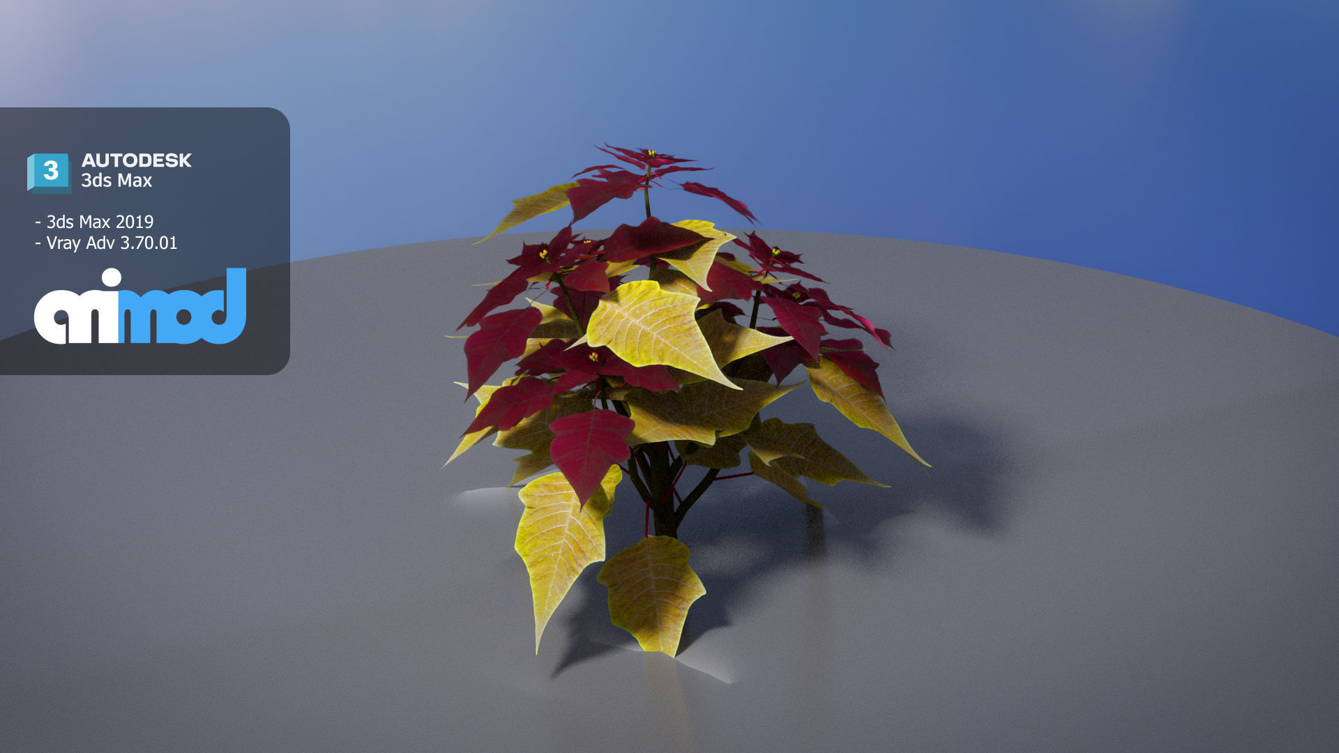 Poinsettia 003 3D model_2