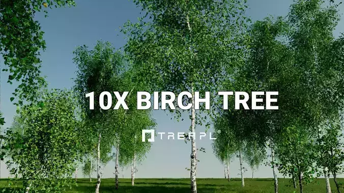 10X Birch Tree Betula Pendula by Treapl 3D model