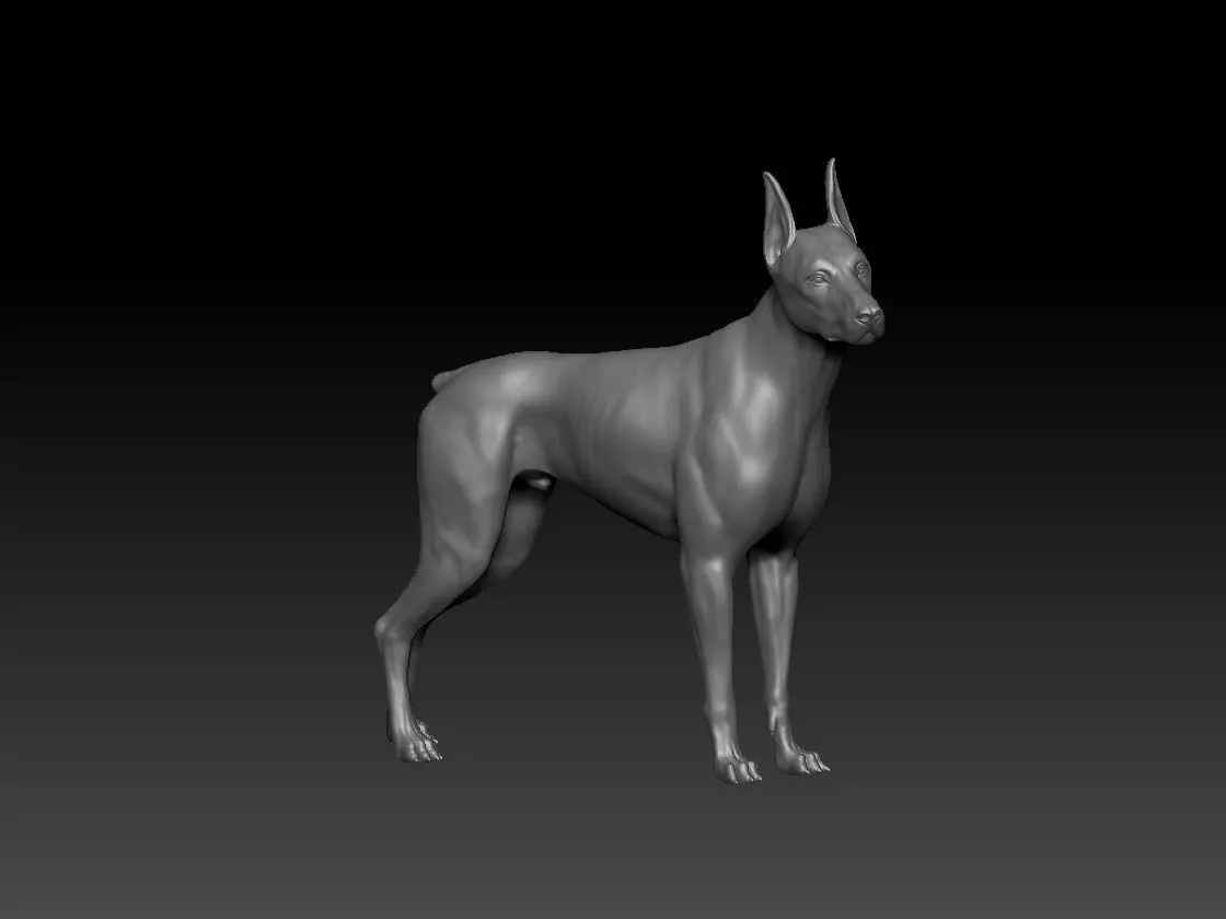 Dobermann model 3D print model