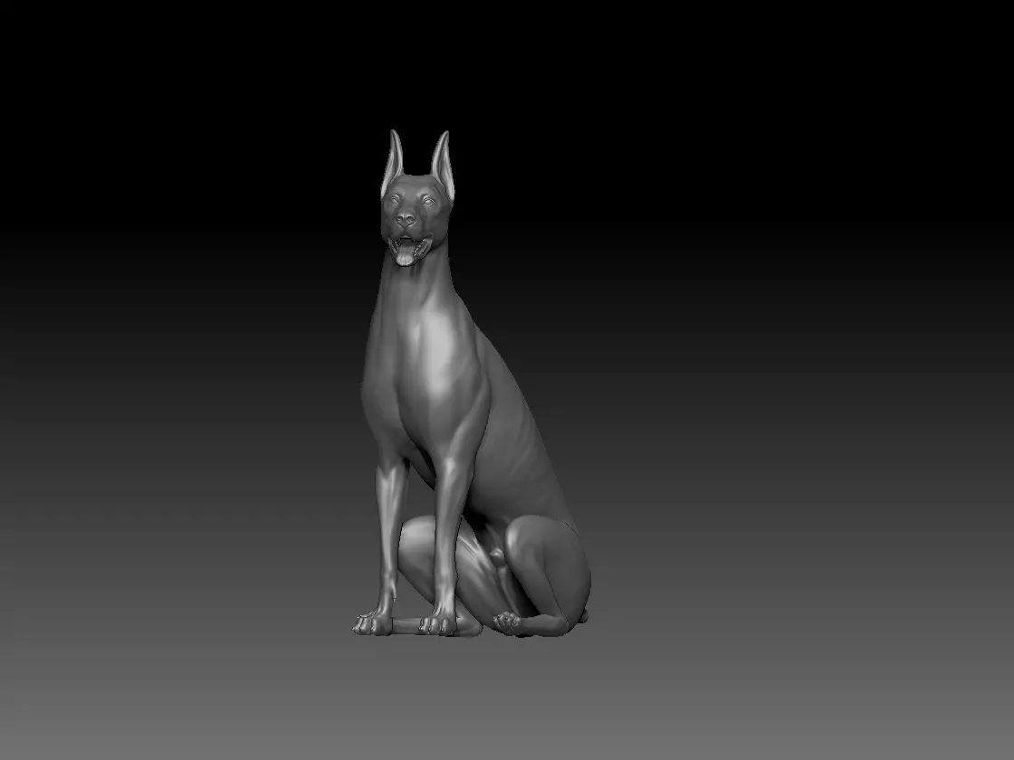 Dobermann sitting model 3D print model_0