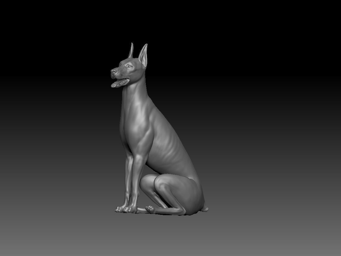 Dobermann sitting model 3D print model_3