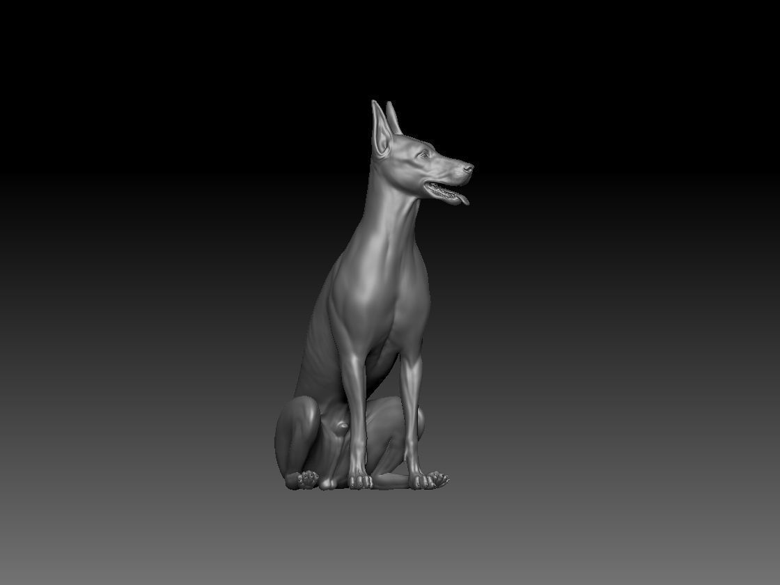 Dobermann sitting model 3D print model_1