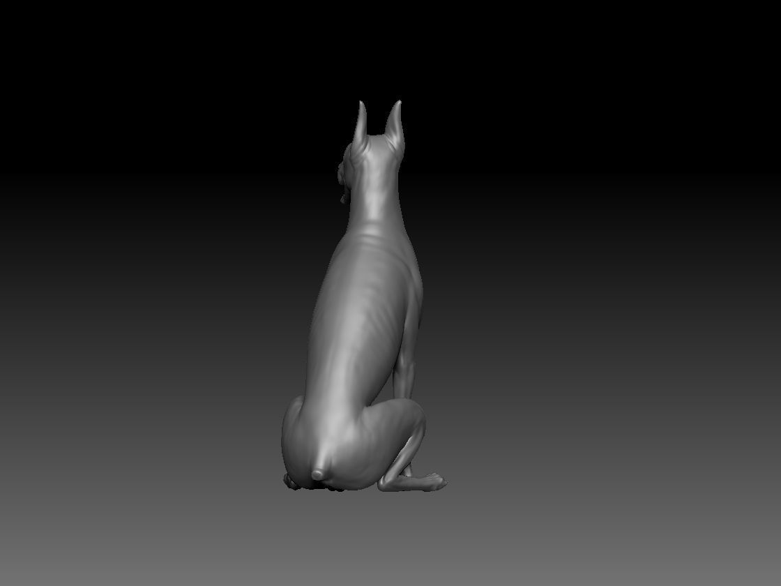 Dobermann sitting model 3D print model_2