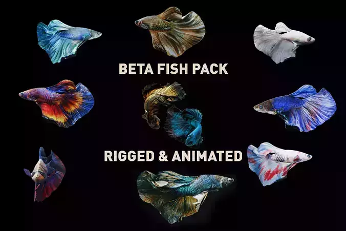 Beta fish pack - Rigged and animated Low-poly 3D model