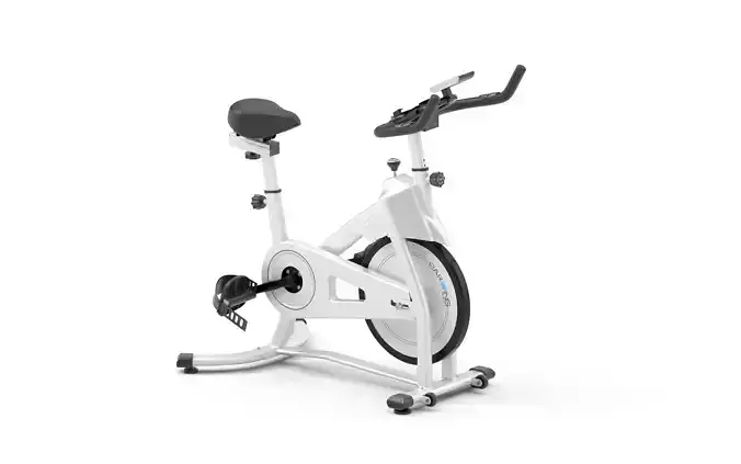 BARWING Spin Bike