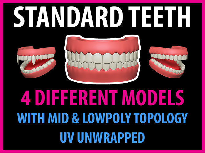 Standard Teeth  4 Different Teeth with Mid and Lowpoly Topology 