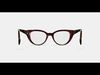 Camila Eyeglasses in Oxblood with Striped Elm 3D model_1