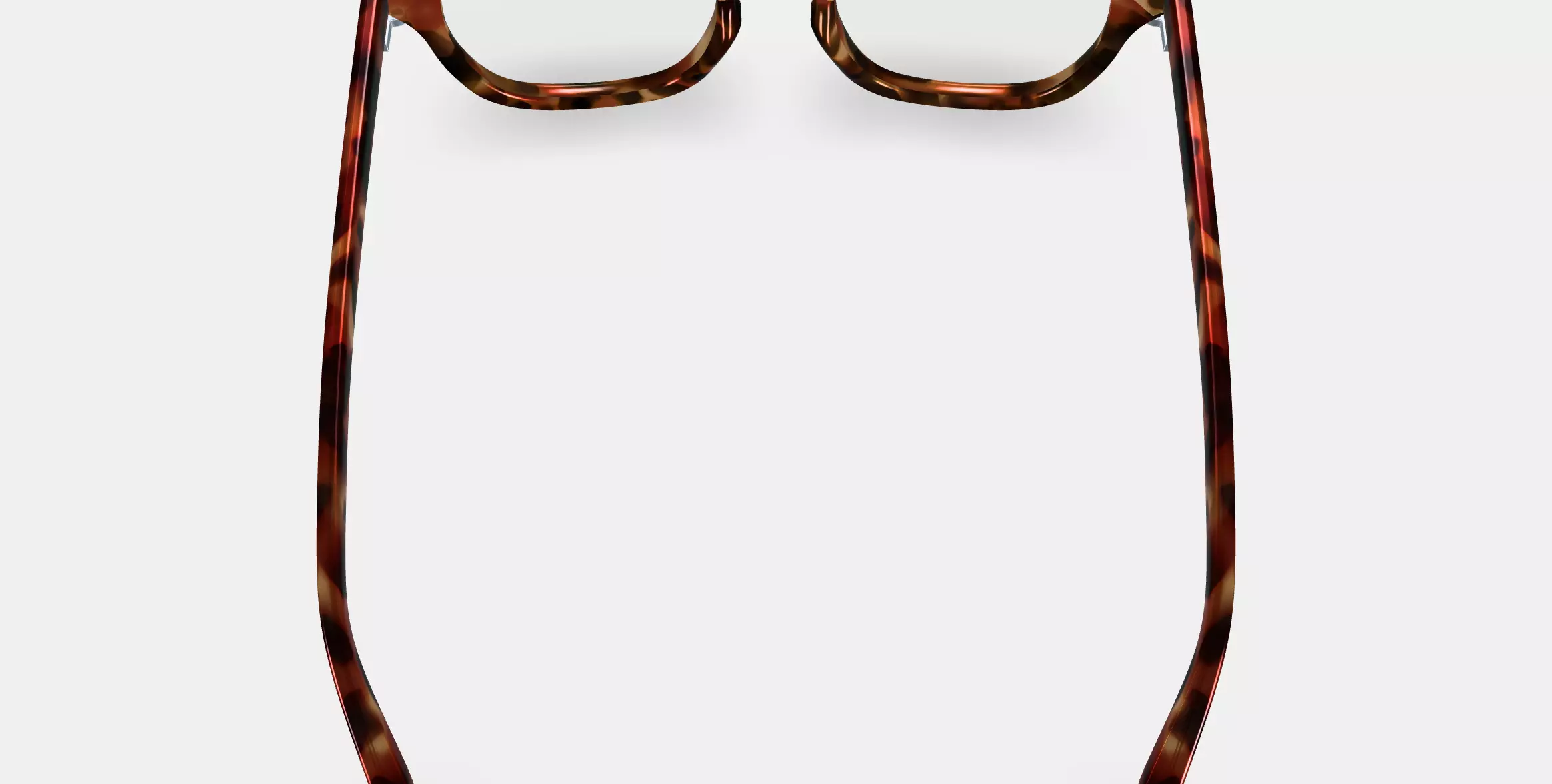 Della Eyeglasses in Acorn Tortoise 3D model_0