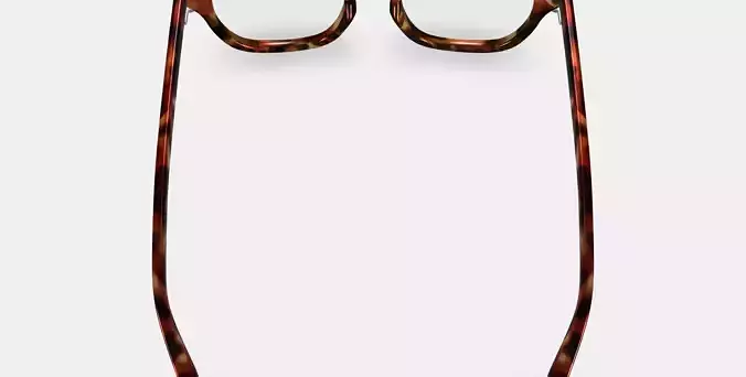 Della Eyeglasses in Acorn Tortoise