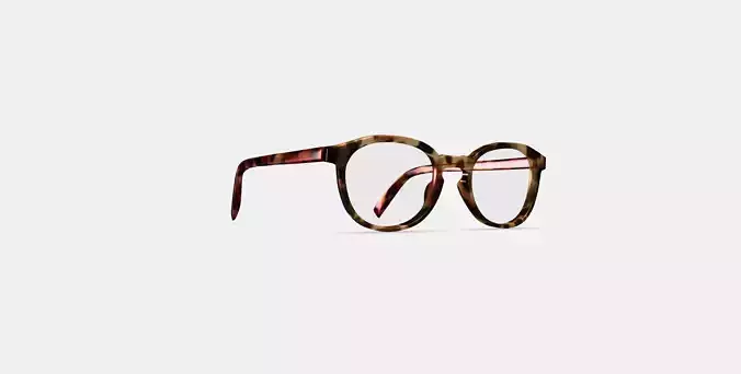 Anselm Eyeglasses in Acorn Tortoise