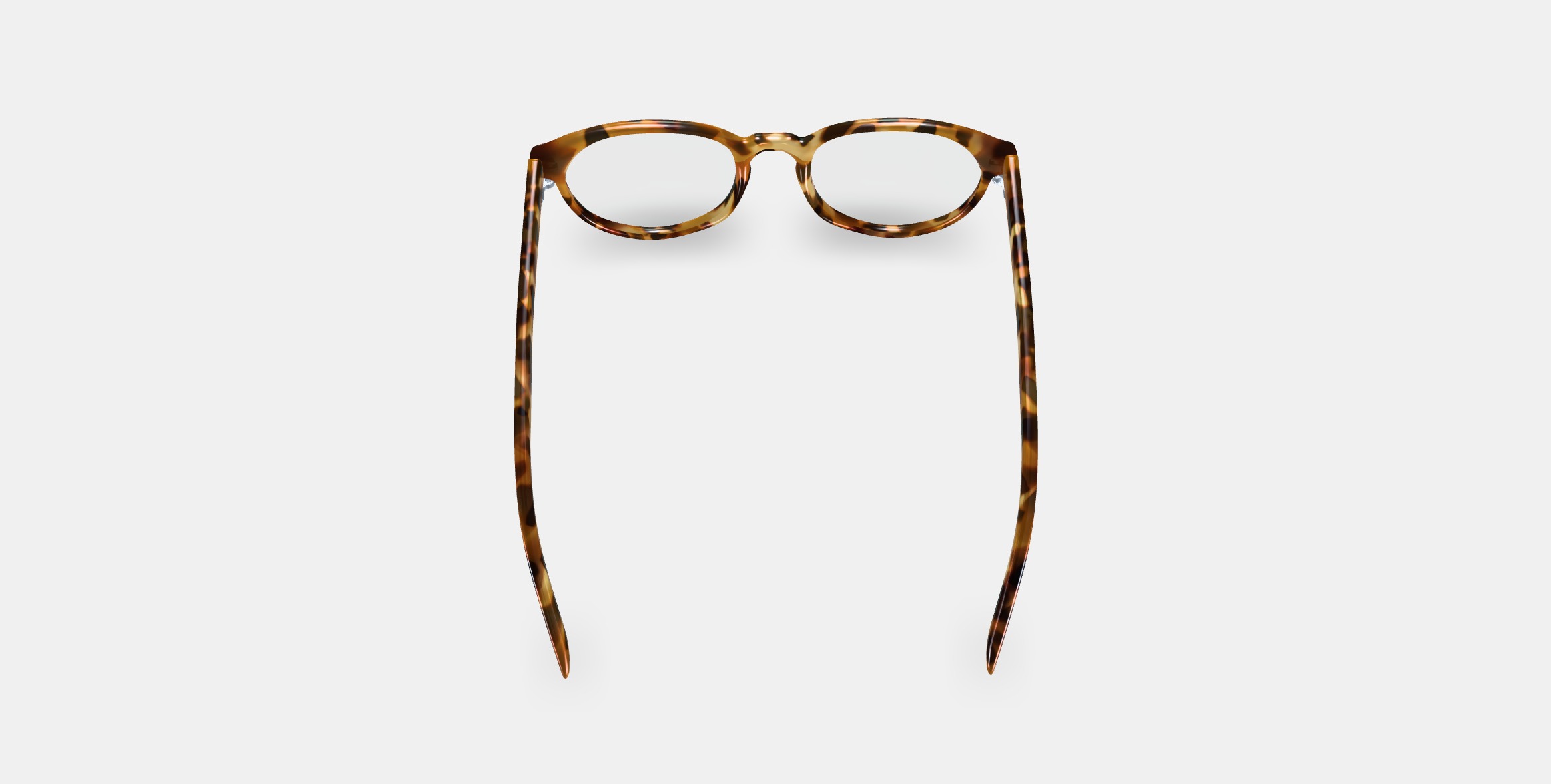 Whalen Eyeglasses in Acorn Tortoise 3D model_2
