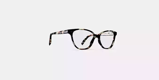 Lydell Eyeglasses in Truffle Tortoise 3D model