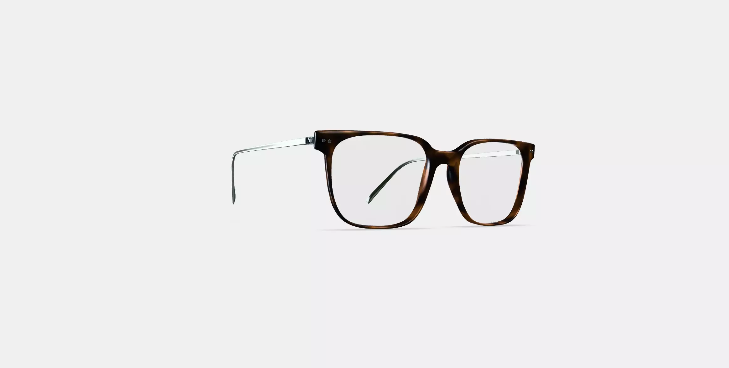 Caleb Eyeglasses in Woodgrain Tortoise with Polished Silver 3D model_0