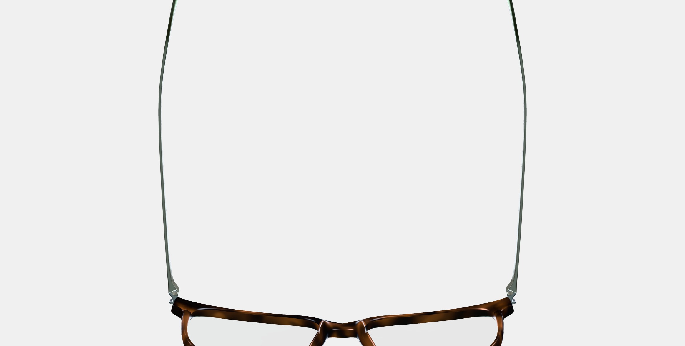 Caleb Eyeglasses in Woodgrain Tortoise with Polished Silver 3D model_8
