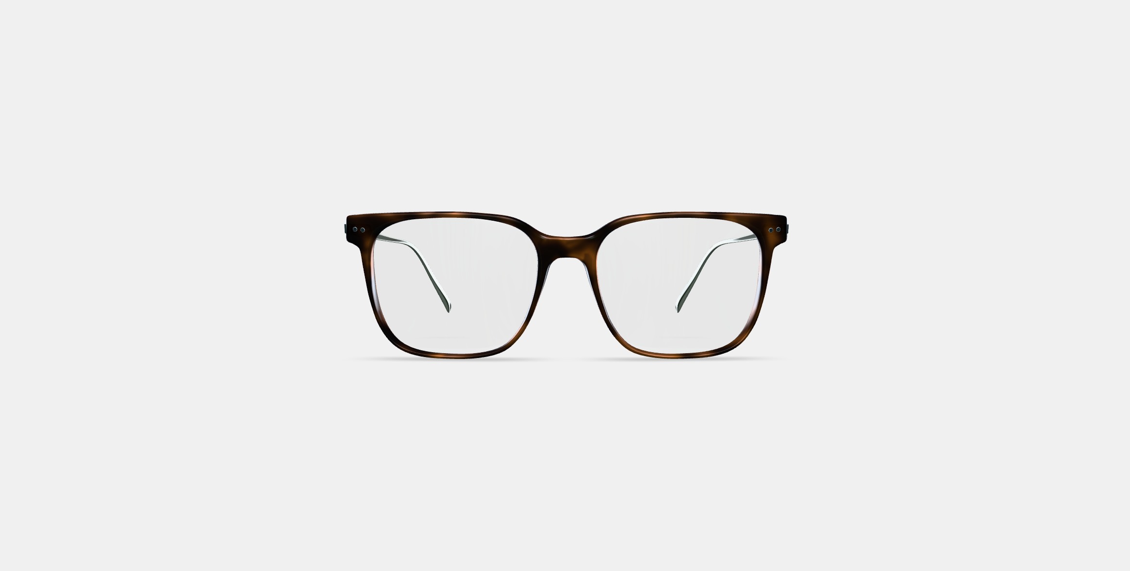 Caleb Eyeglasses in Woodgrain Tortoise with Polished Silver 3D model_10