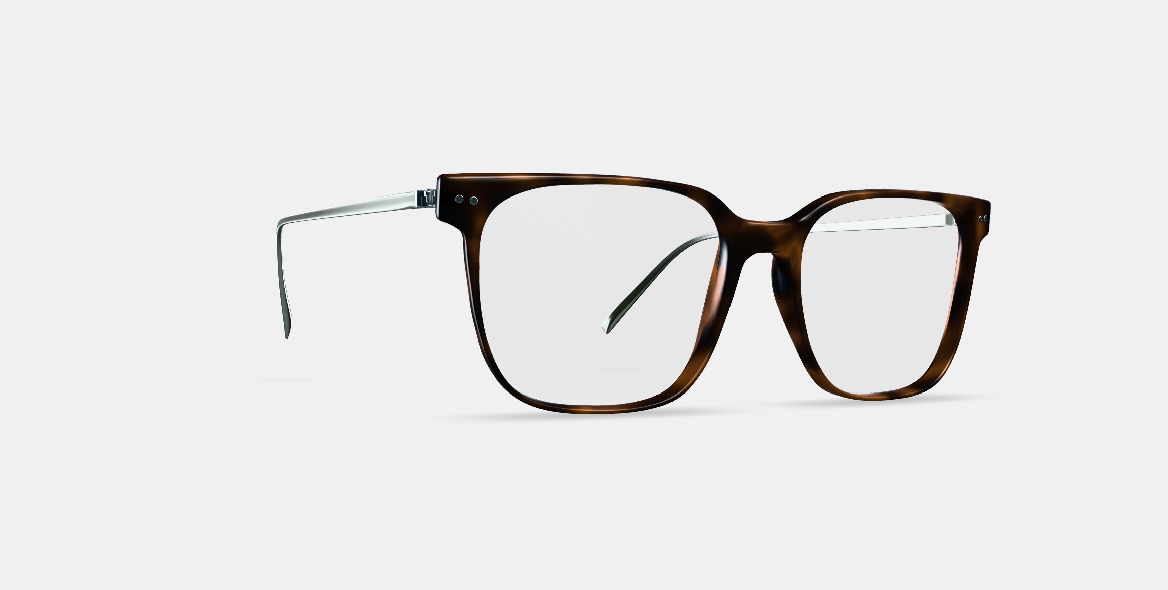 Caleb Eyeglasses in Woodgrain Tortoise with Polished Silver 3D model_9