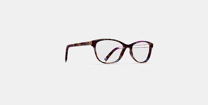 Daisy Eyeglasses in Confetti Tortoise 3D model
