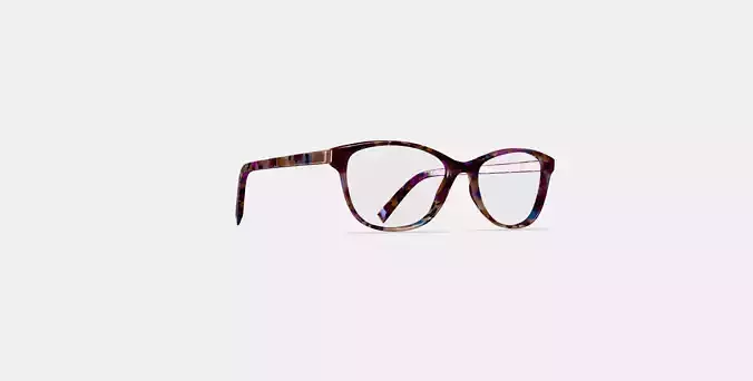 Daisy Eyeglasses in Confetti Tortoise 3D model