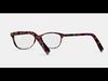Daisy Eyeglasses in Confetti Tortoise 3D model_1
